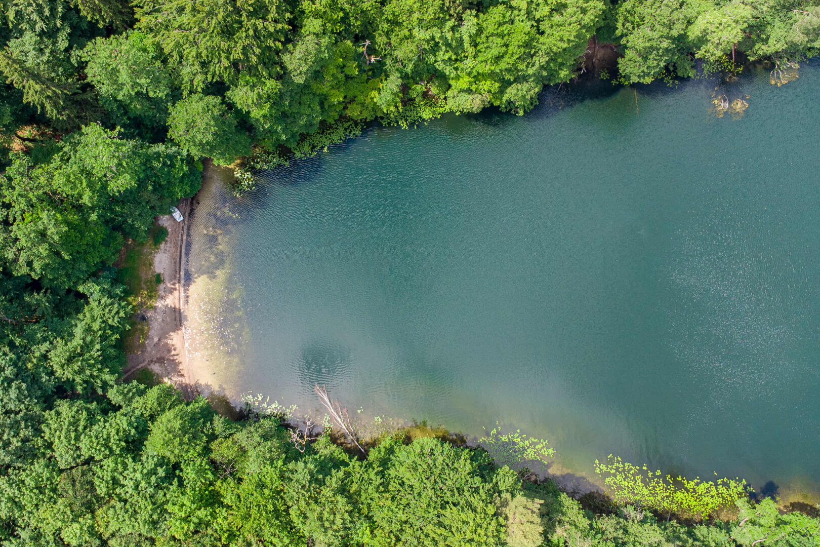 m-doradcy Marek Bucholc - 17